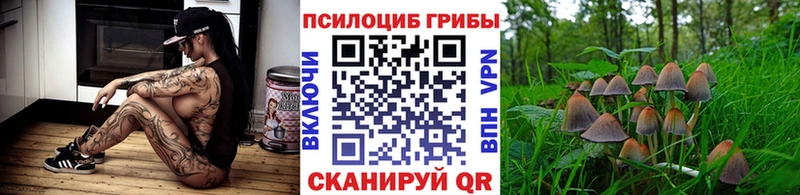Псилоцибиновые грибы Magic Shrooms  купить закладку  мориарти клад  Шахунья 